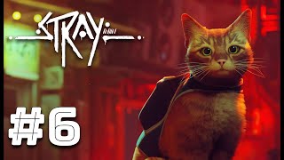 Мідтаун і дещо більше! |Stray| |#6| |Проходження гри|