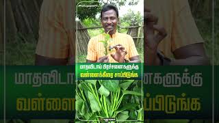 மாதவிடாய் பிரச்சனைகளுக்கு வள்ளைக்கீரை சாப்பிடுங்க...! | #Puthuyugamdigital #Shorts