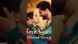 Tere Vaaste - WhatsApp Status#whatsappstatus