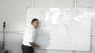 Lecture On Decoding Glandular Tissues: A Deep Dive into Histology | MBBS