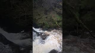 Spectacle E'e Falls - Sandford/Strathaven - Scotland #waterfall #nature #scotland