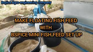 MAKE FLOATING FISH FEEDS WITH EASE USING BSPICE MINI FISH FEEDMILL SET-UP.