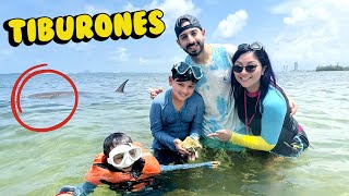 ENTRAMOS AL MAR | VIMOS TIBURONES | Family Juega