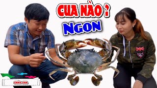 Bí quyết chọn cua ngon chắt thịt | Cua ngon rẻ nhất Sài gòn | Choose delicious crab | Cháo cua