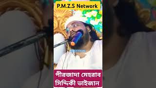 পীরজাদা মেহরাব সিদ্দিকী ভাইজান/Mehrab Siddique waz #mehrab_siddiqui #bangla_waz