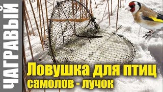 Ловушка для птиц - простой самолов - лучок