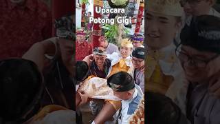 Ngakak Habis! Viral Begini Keseruan Upacara Potong Gigi di Bal #balitravel#allaboutbali #viralshort