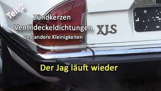 Jaguar XJ-S HE V12 - Zündkerzen und Ventildeckeldichtungen austauschen - ER LEBT