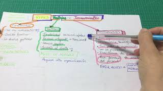 Teoría: PYMES ventajas e inconvenientes