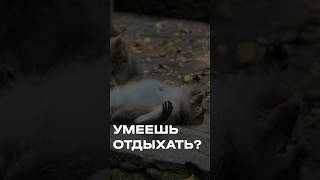 Как правильно отдыхать?