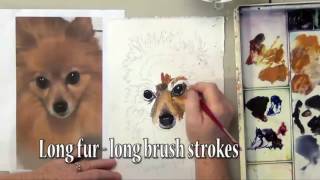 How To Paint Fur in Watercolor With A Long Haired Brown Dog by Deb Watson