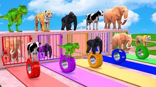 Animals Choose The Right Drink With Cow Mammoth Gorilla, Tiger, Gorilla, Dinosaur Animals Cage Game