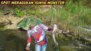 DiHEBOHkan Predator Pemakan Daging ❗❗ Mancing ikan besar di sungai ini ragu awalnya