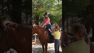 Horse Riding | Horse at Farm | horse |