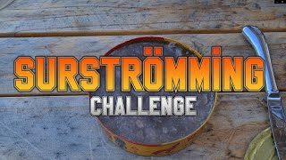 Aussies VS Surströmming (For Charity) *Warning Someone Yaks On This Video*