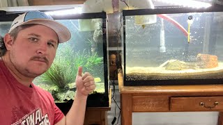 How to build an aquarium bridge ! Cichlids affordable