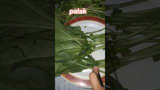 Alo Palak gosht|How to make Palak gosht|#short#shorts #ytshorts#youtube shorts#shortsvideo