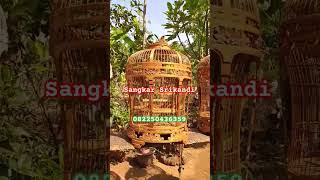 Sangkar perkutut #shorts #shortvideo #sangkar #sangkarperkutut #perkutut #handmade