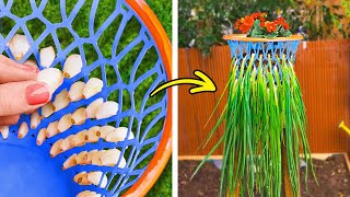 Hacks de jardinagem fáceis para iniciantes! Cultive um lindo jardim em ambientes internos e externos