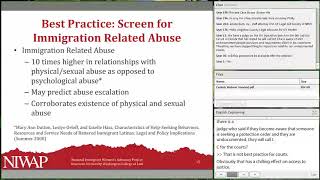 Custody for Abused Immigrants: Tips, Tools, and Best Practices (Nov 15, 2018)