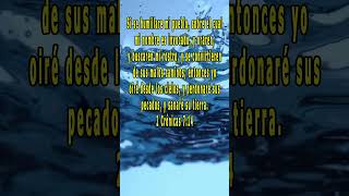 Versículos De La Biblia 2 Crónicas 7:14  new #shorts_videos