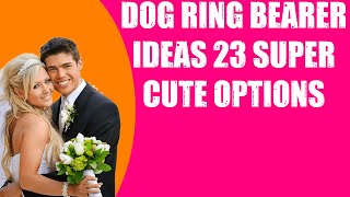 DOG RING BEARER IDEAS  23 SUPER CUTE OPTIONS