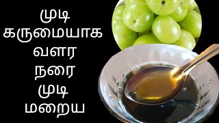 முடி கருமையாக வளர| நரைமுடி | மூலிகை எண்ணெய்| பொடுகு| hair fall| dandruff| herbal hair oil| balled