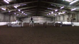 Windstar aka Scooter: 2'6" Jumper Classes 2.6.16