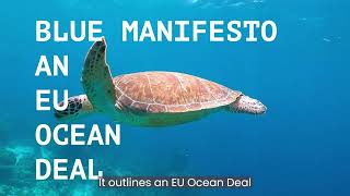 BLUE MANIFESTO The roadmap to a healthy ocean by 2030