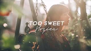 ♬[ Vietsub ] Too Sweet - Hozier