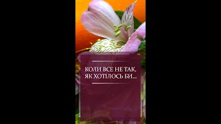 Як зберегти свої сили, коли все не так, як хотілось би? (Питання дня) #Shorts