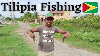 Tilipia Fishing in Berbice, Guyana.