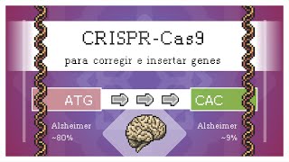 ¿Qué es y cómo se utiliza CRISPR-Prime Editing? 🧬