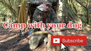 Rainstorm camping | with your DOG