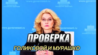 "Наконец то получат по заслугам" Проверка деятельности Голиковой, Мурашко  инициированна депутатами