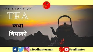 The Story of TEA Trailer | कथा चियाको | Tea History | Foodhunter tea |