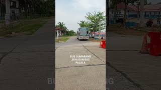 KEBERANGKATAN BUS GUMARANG JAYA DAN BUS PALALA MENUJU IBU KOTA...