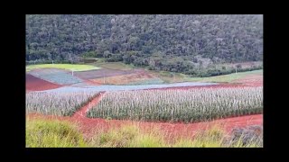 UM LUGAR MÁGICO CHAMADO CIANINHA  -Por Aroldo Barros