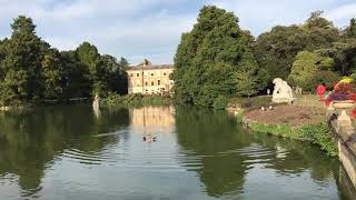 Royal Botanic Gardens Pond, Kew Gardens, Richmond, London #kewgardens #london