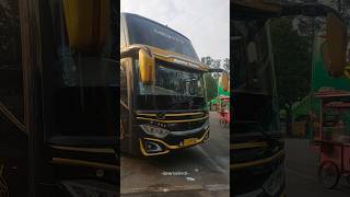 Bus Agung Sejati Mighty Golden Class #shorts #agungsejati #bismania #ayonaikbus