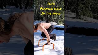 Tuck Planche Hold in the Snow #calisthenics #Planche #bodyweight