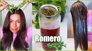 FORMAS DE USAR EL ROMERO PARA EL CABELLO🌿 BENEFICIOS Y PROPIEDADES.