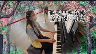 姜育恆～海鷗❤️鋼琴🎹國語老歌輕音樂#醫院鋼琴志工