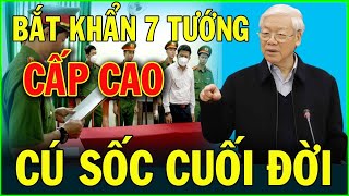 Tin pháp luật nhanh và chính xác ngày 29/5/2023 Tin pháp luật việt nam mới nhất hôm nay | #NóngPlus