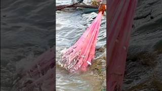 Fisherman Cast Net Fishing Real Life Amazing Fishing At Countryside One net 20 Kg.(Episode 237)