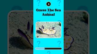 Can You Guess The Animal In 5 Seconds?