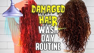 My Wash Day Routine for Damaged Hair | AlexandrasGirlyTalk