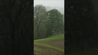 Heavy Rain || Nature || #nature #naturephotography #photography #beautiful #rain