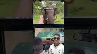 Enfrentando Fúria de Elefante africano em Marcha Ré! Manobra Que Salvou os Turistas no Safari