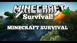 Minecraft Survival Episode 2 #minecraft #minecraftsurvival #survival #support